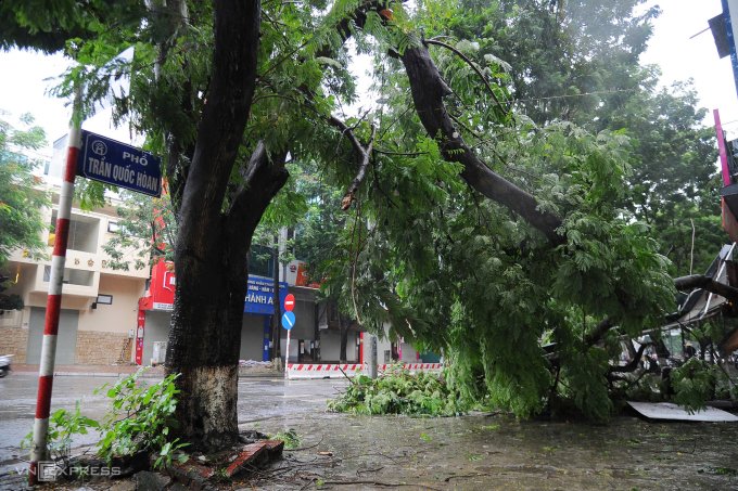 Cây lớn gãy cành trên phố Trần Quốc Hoàn (Cầu Giấy)