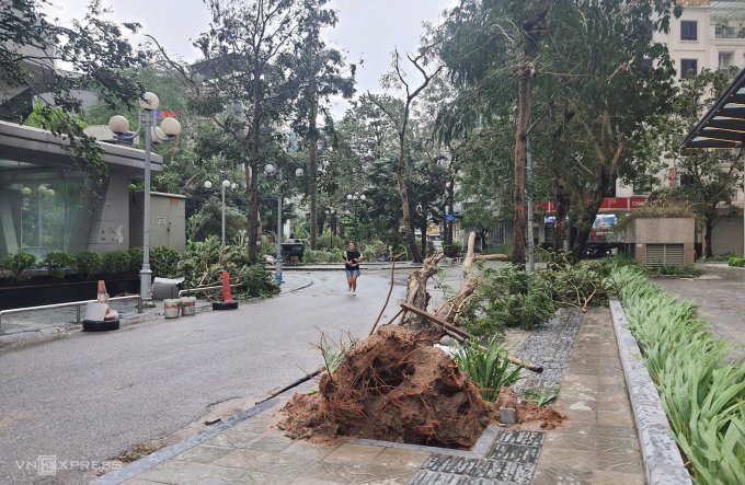 Cây xanh bật gốc trên đường Lê Văn Lương